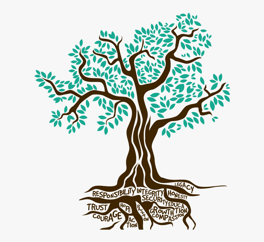 Arbol De Olivo Dibujos, HD Png Download, Free Download