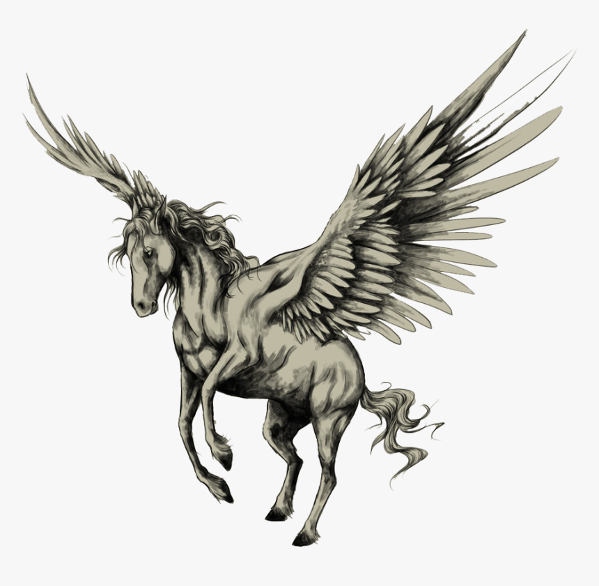 Tattoo Horse Pegasus Drawing Sketch Png Free Photo - Pegasus Tattoo, Transparent Png, Free Download
