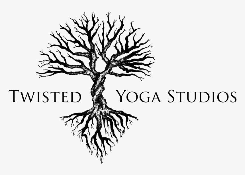 Twisted Tree Logo, HD Png Download, Free Download