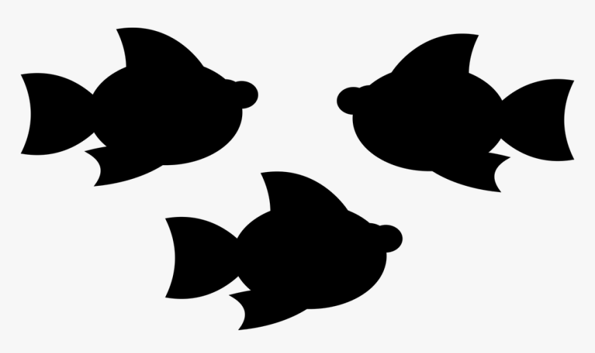 Fish, Swarm, Animal, Marine, Silhouette, Water - Silhueta Peixes Png, Transparent Png, Free Download