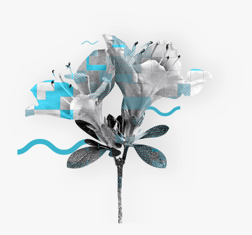 Artificial Flower, HD Png Download, Free Download