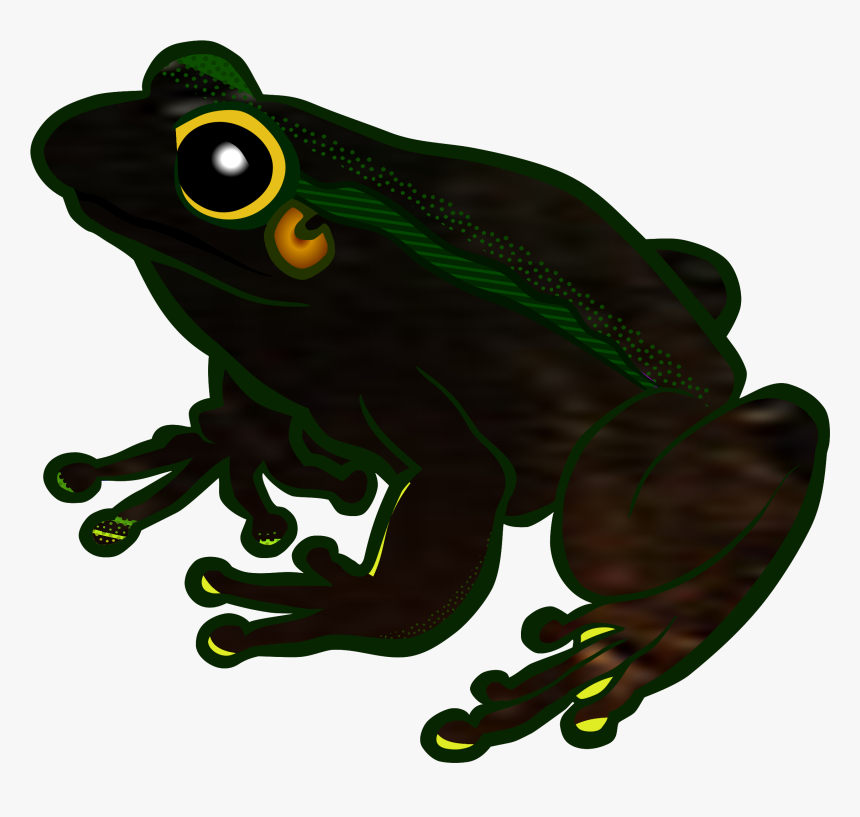 Tree Frog Clipart Transparent, HD Png Download, Free Download
