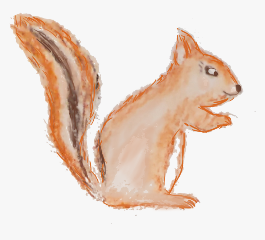 Ardilla - Fox Squirrel, HD Png Download, Free Download