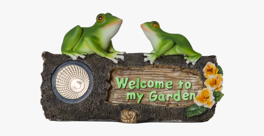 Solar Decoration Frogy - Barking Tree Frog, HD Png Download, Free Download