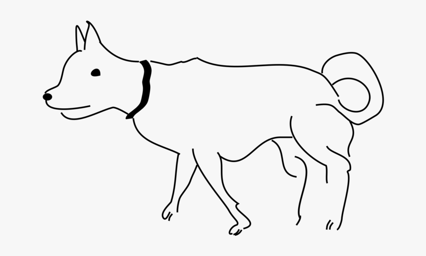 Carnivoran,artwork,dog Breed - Kishu, HD Png Download, Free Download