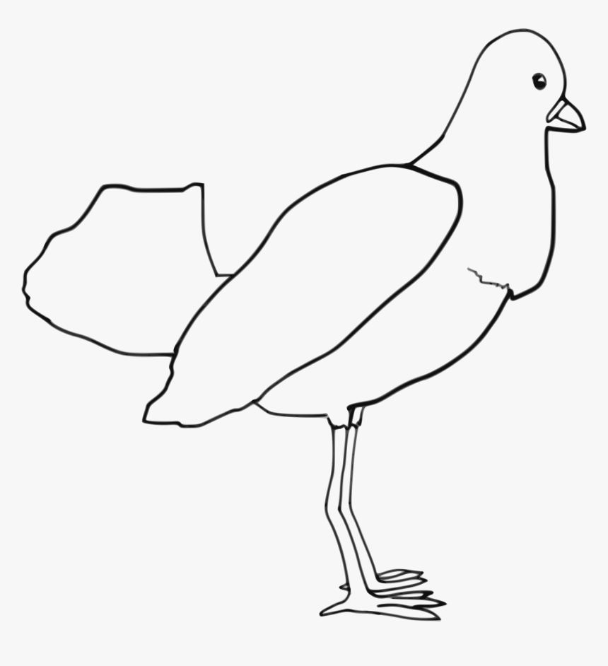 Bird Clip Arts - Fowl Outline Drawing, HD Png Download, Free Download