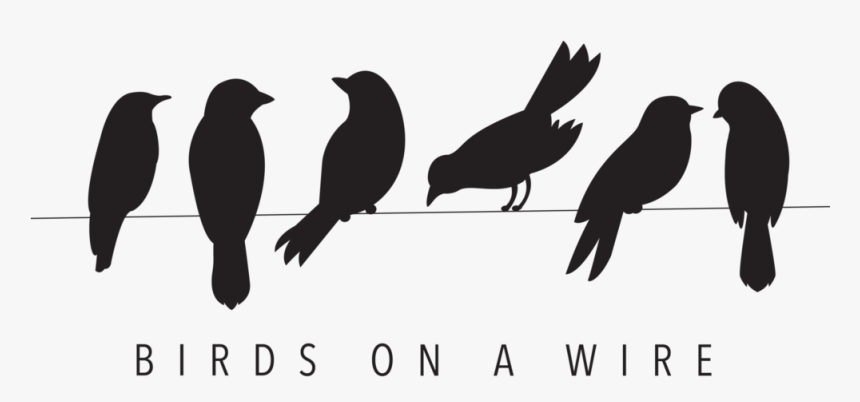 Birds On A Wire Black And White Clipart Png Bird Silhouette - Poster It's Ok To Be Different, Transparent Png, Free Download