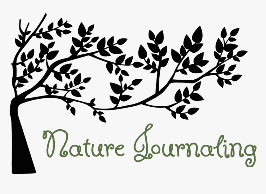 Nature Journaling Workshop - Black And White Tree Clipart, HD Png Download, Free Download