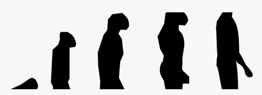 Human Evolution, HD Png Download, Free Download