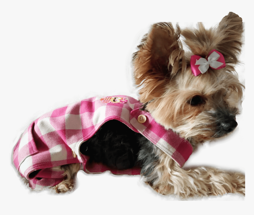 Pichi Fucsia A Cuadros Para Perros - Companion Dog, HD Png Download, Free Download