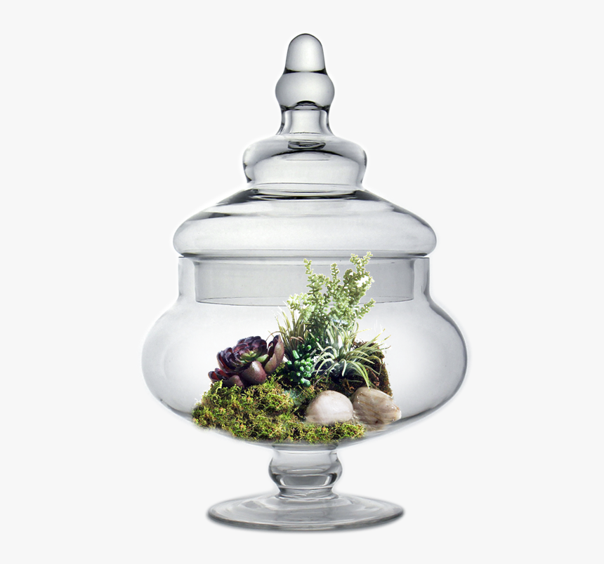 Glass Apothecary Jar H-10 - Sugar Bowl, HD Png Download, Free Download