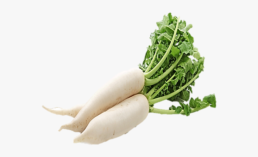 Mula Vegetable, HD Png Download, Free Download