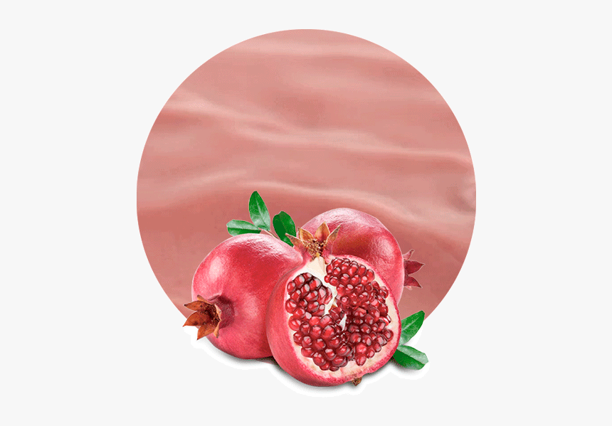 Pomegranate Premium, HD Png Download, Free Download