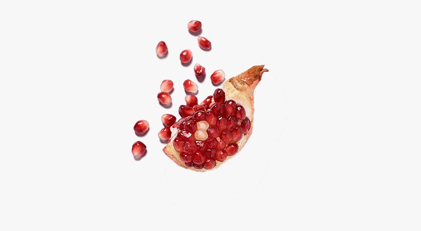 Currant, HD Png Download, Free Download