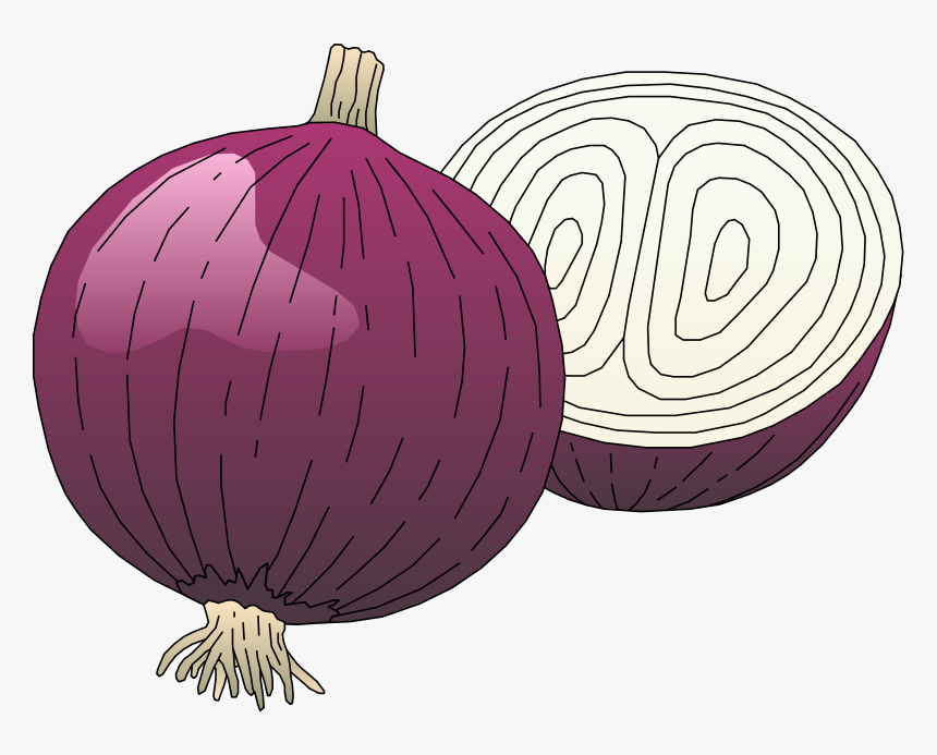 Free Vector Vegetables - Onion Clipart, HD Png Download, Free Download