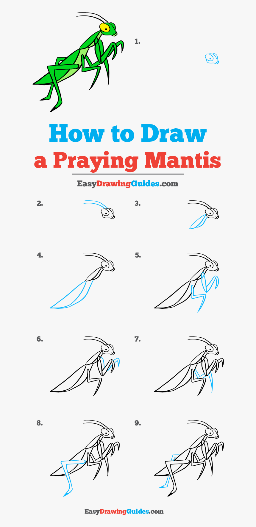 Step By Step Praying Mantis Drawing, HD Png Download, Free Download