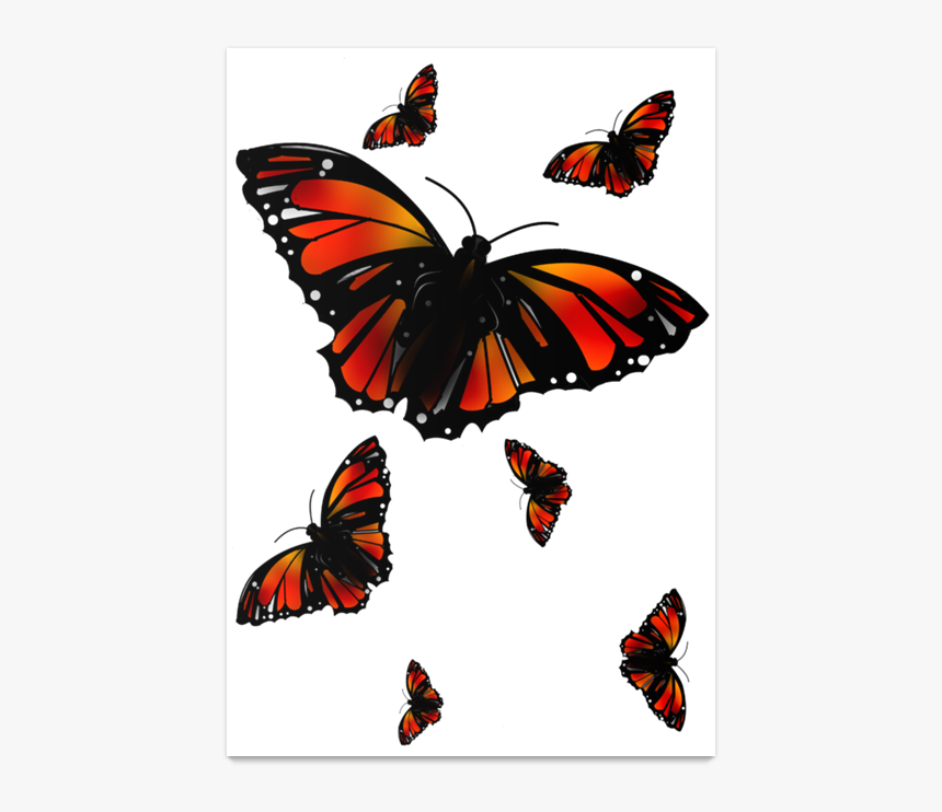 Poster Borboletas De Fábio Franciscona - Papilio, HD Png Download, Free Download