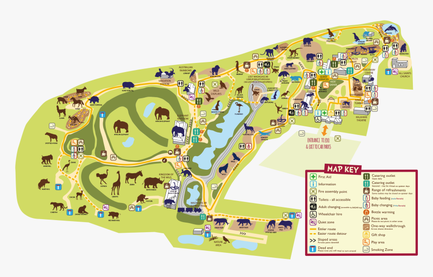 Colchester Zoo Map, HD Png Download, Free Download