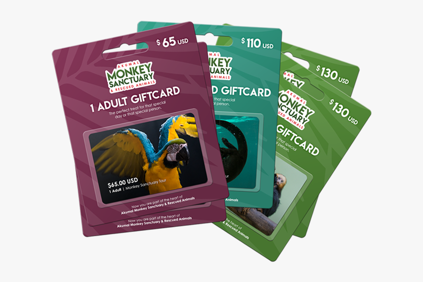 Akumal Monkey Sanctuary Gift Card Is The Perfect Treat - Packaging And Labeling, HD Png Download, Free Download