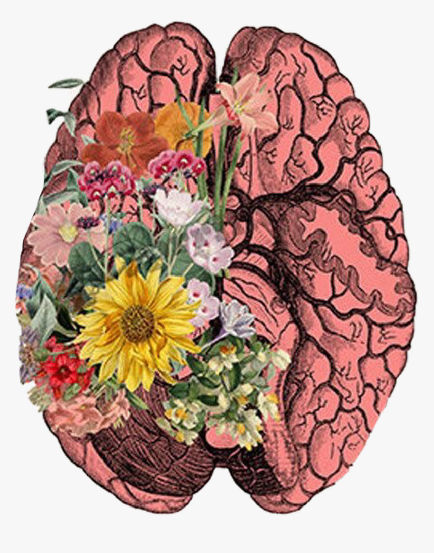 #brain #cerebro #art #flores #freetoedit - Brain Flower Art, HD Png Download, Free Download