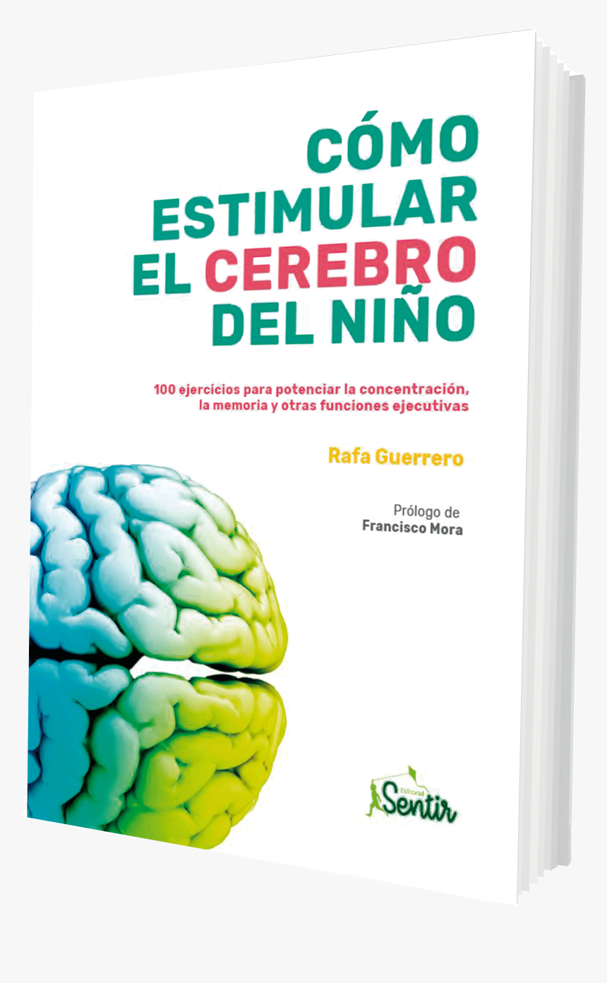 Estimular El Cerebro Del Niño, HD Png Download, Free Download
