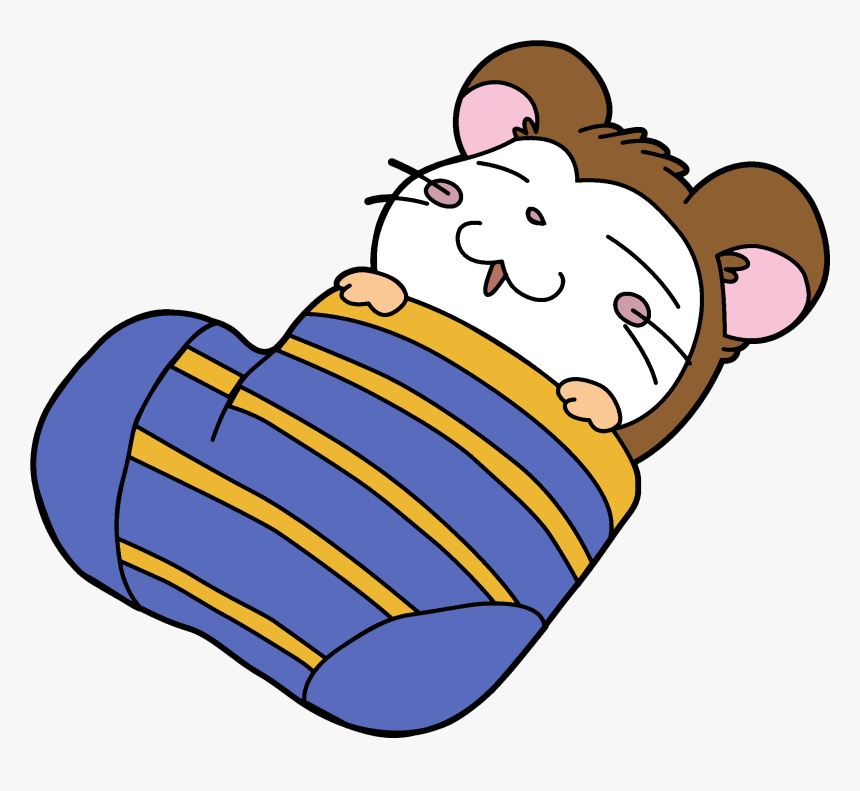Hamster Sleeping In A Sock, HD Png Download, Free Download