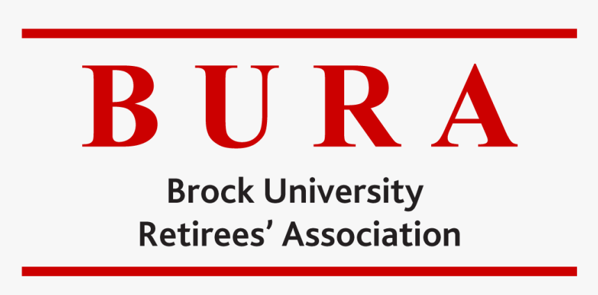 Oval, HD Png Download, Free Download