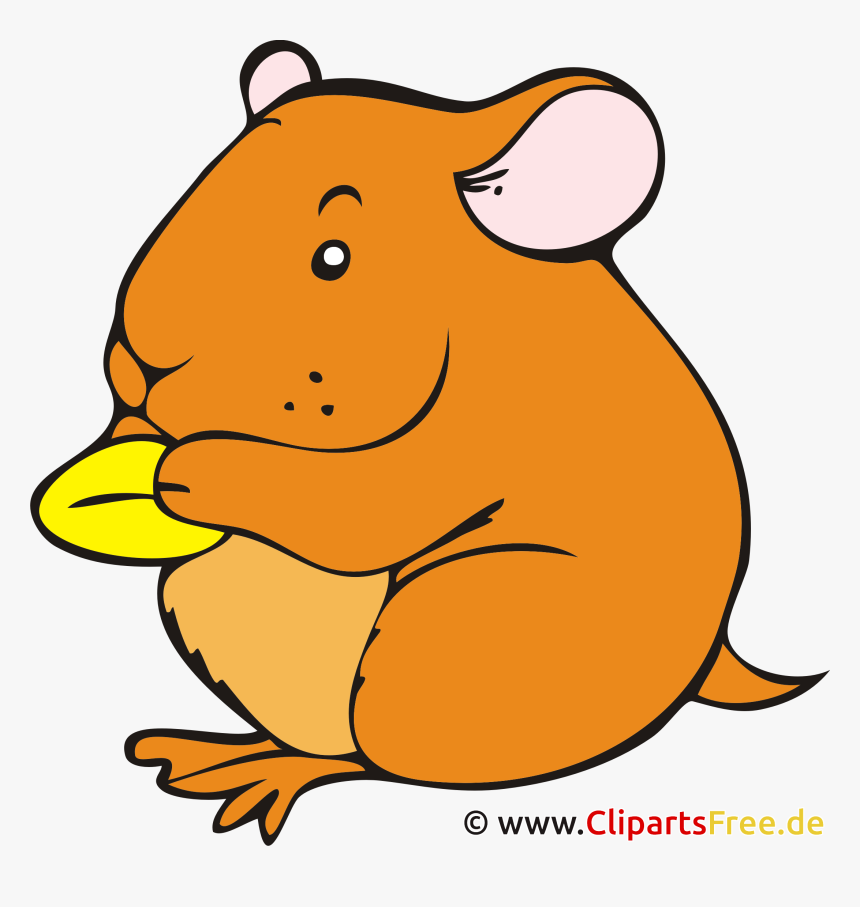 Hamster Clipart, Bild, Cartoon Kostenlos - Hamster Clipart, HD Png Download, Free Download