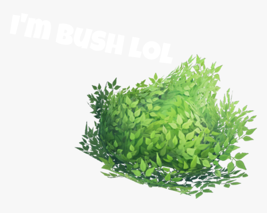 #bush #fortnite - Grass, HD Png Download, Free Download