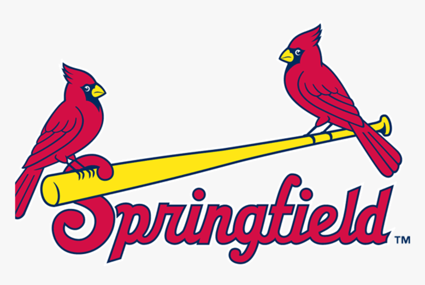 Meaning Springfield Cardinals Logo And Symbol - Springfield Cardinals Logo Png, Transparent Png, Free Download