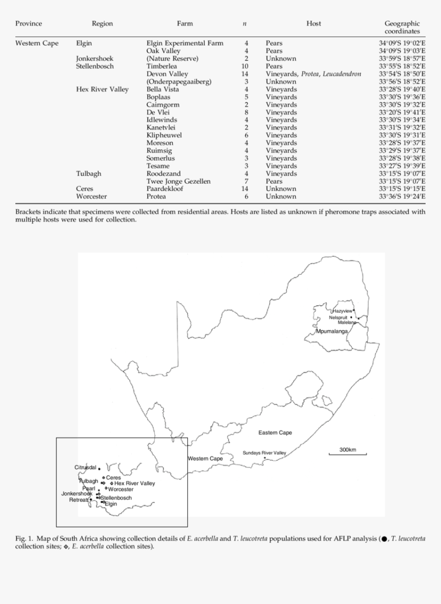 Diagram, HD Png Download, Free Download