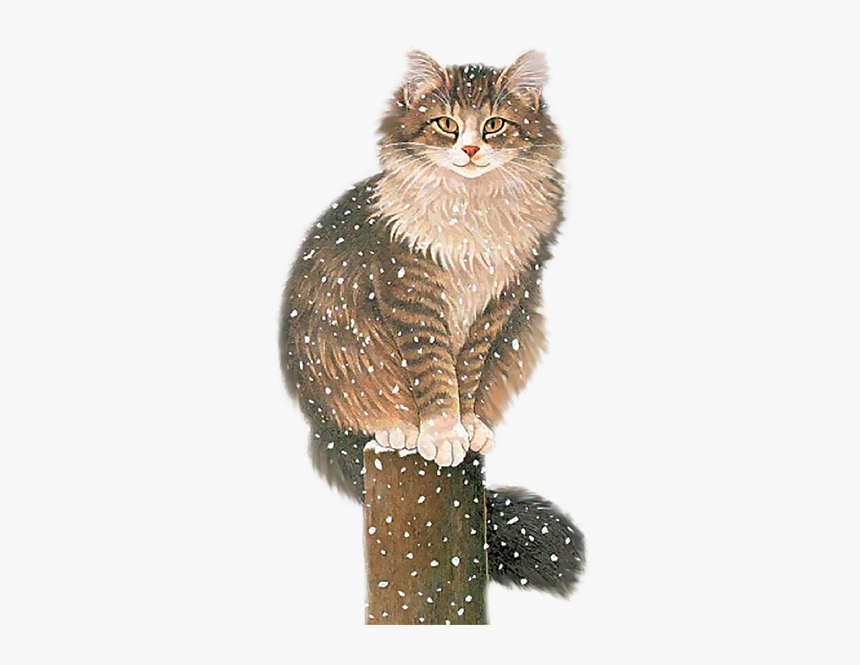 Cat Clip Art - Transparent Cat Falling Gif, HD Png Download, Free Download