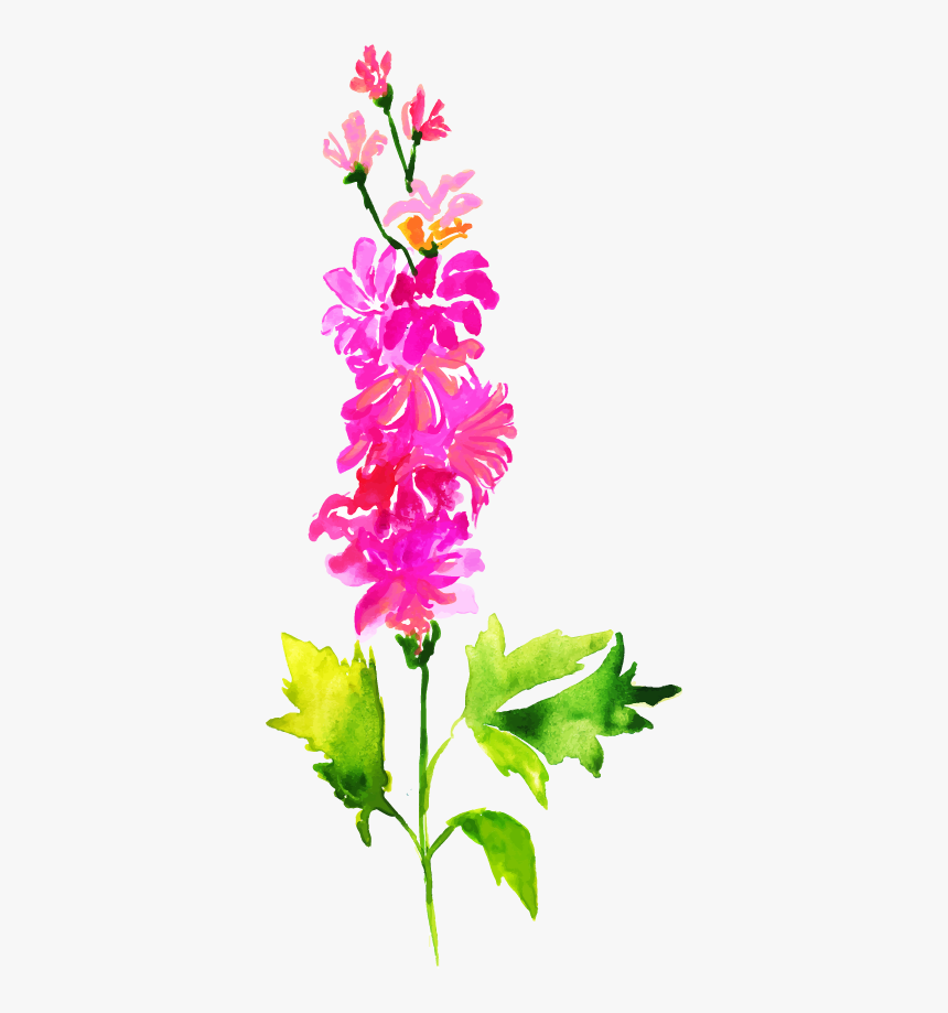 Delphinium, HD Png Download, Free Download