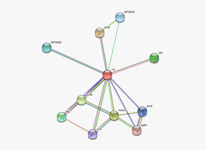 Rnr Protein - Circle, HD Png Download, Free Download