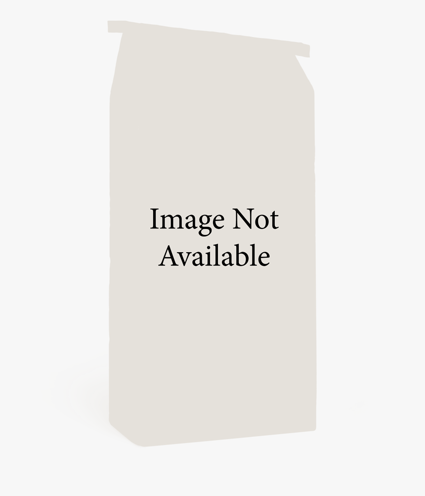 No Product Available - Paper, HD Png Download, Free Download