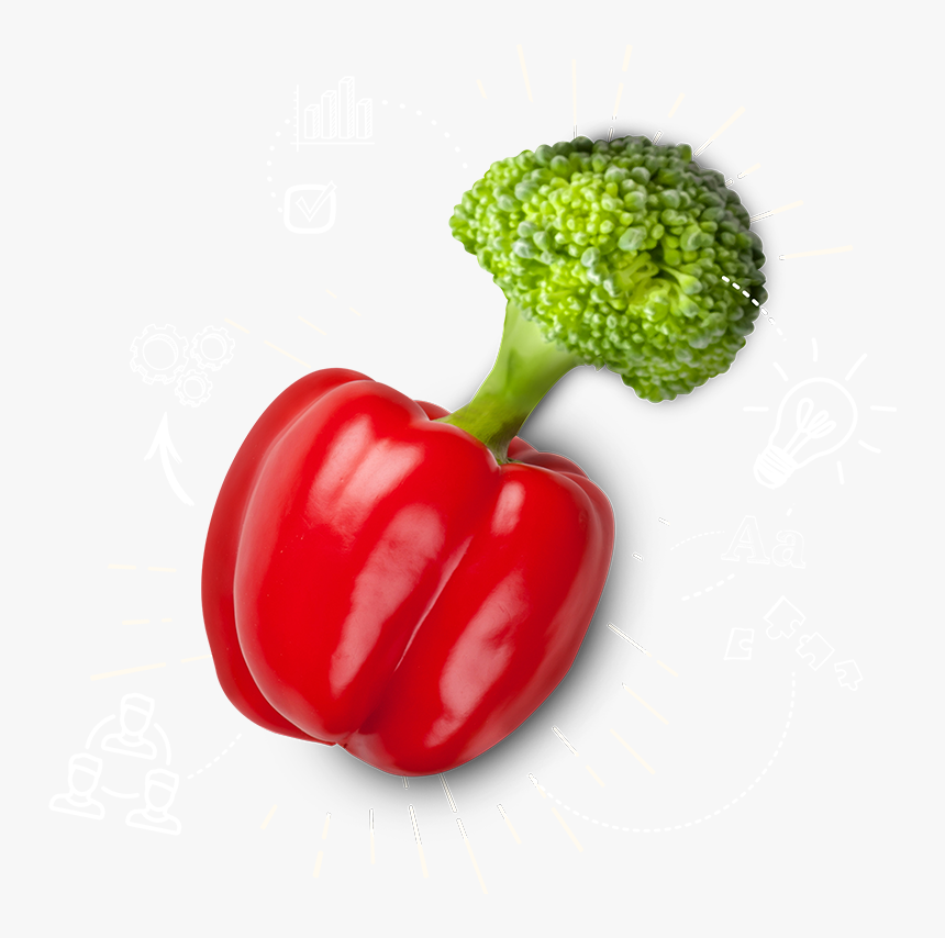 Pepper Mision Img - Broccoli, HD Png Download, Free Download
