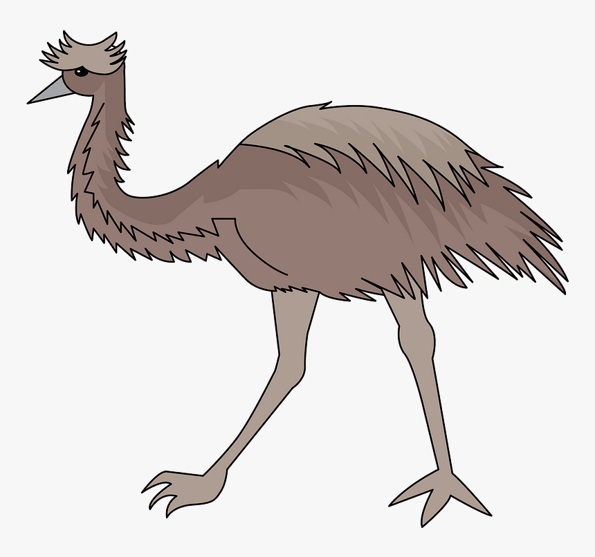 Emu Clipart - Ostrich, HD Png Download, Free Download