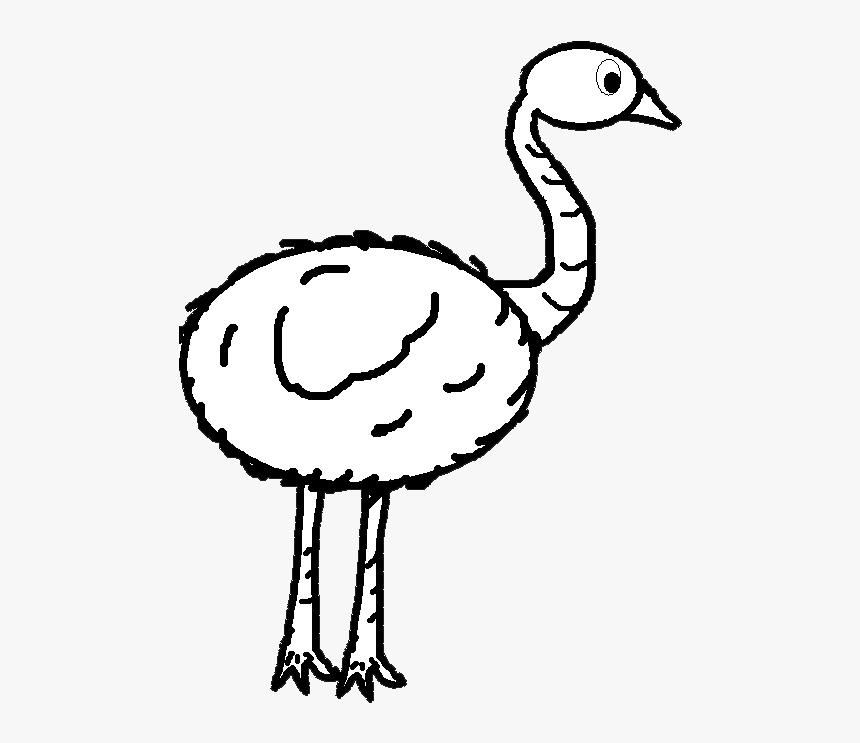 Emu Clipart Black And White - Emu Clip Art, HD Png Download, Free Download