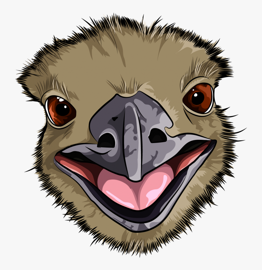 Emu , Png Download - Cartoon, Transparent Png - kindpng Emu , Png Download - Cartoon, Transparent Png - kindpng