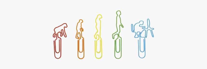 Evolution Bookmark - Colorfulness, HD Png Download, Free Download