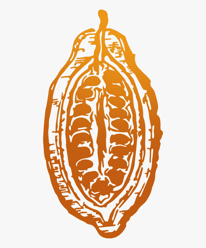 Cacao Logo Png , Png Download, Transparent Png, Free Download