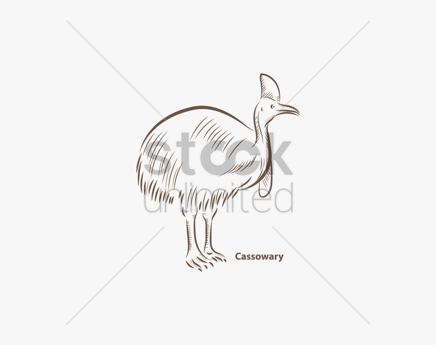 Cassowary Vector Image - Emu, HD Png Download, Free Download