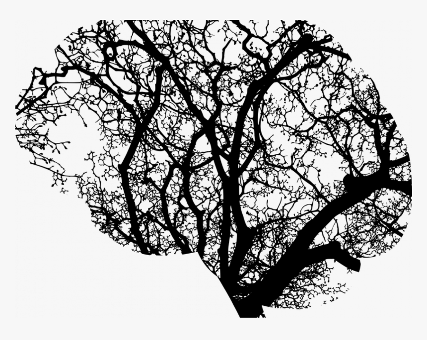 Brain Tree - Brain Tree Clip Art, HD Png Download, Free Download