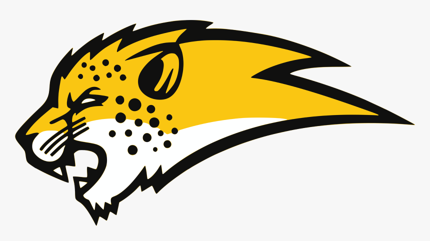 Transparent Cheetah Face Png - Logo Cheetah, Png Download, Free Download