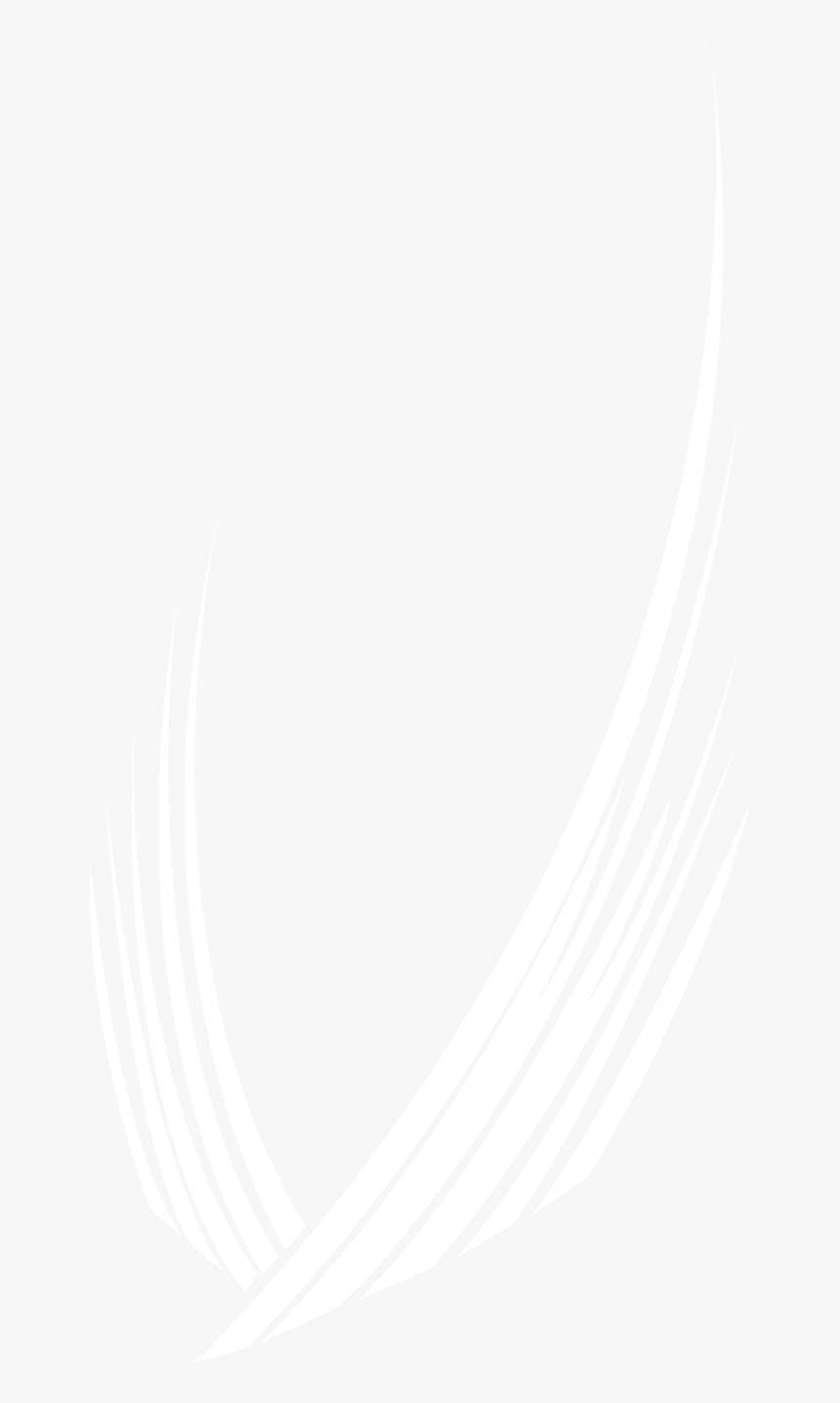 Png Format Twitter Logo White , Png Download - Circle, Transparent Png, Free Download