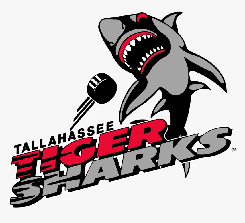 Tallahassee Tiger Sharks Pucks, HD Png Download, Free Download