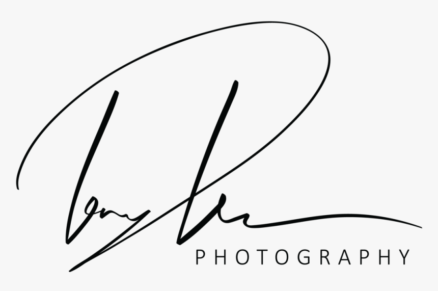 Prince Logo Png , Png Download - Png Prince Photography Logo Hd, Transparent Png, Free Download