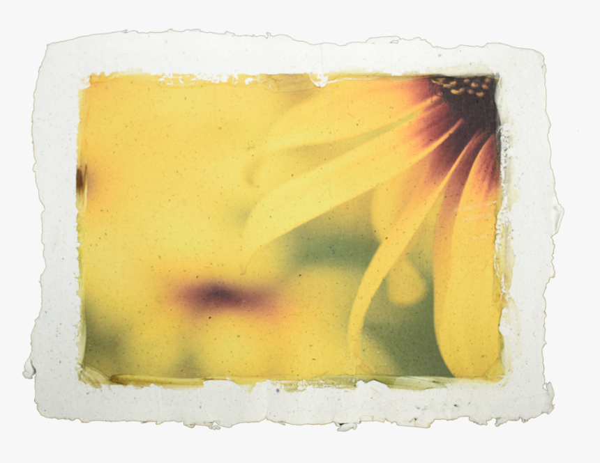 Repapel Iddi Fathom-1, HD Png Download, Free Download