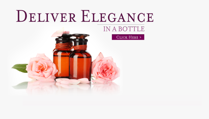 Floribunda, HD Png Download, Free Download