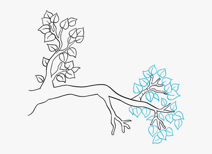 How To Draw Tree Branch - Line Art, HD Png Download, Free Download